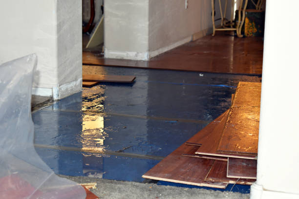 Professional Burst Pipe Cleanup technician working in Mertens, TX